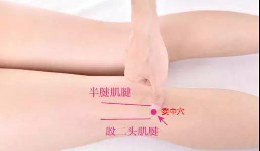 穴位